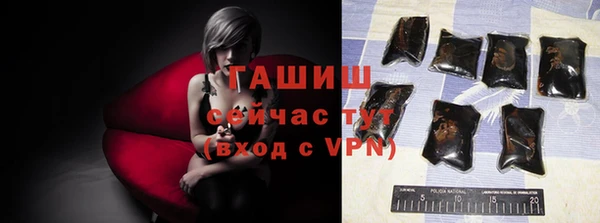 прущие грибы Рославль