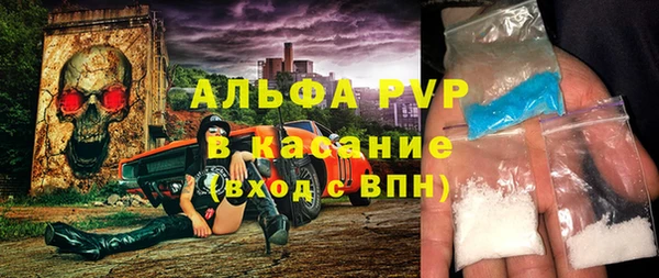 прущие грибы Рославль