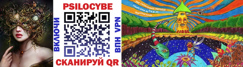 Псилоцибиновые грибы Cubensis  купить   Абаза 