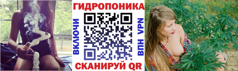 Шишки марихуана VHQ  как найти наркотики  ОМГ ОМГ сайт  Абаза 